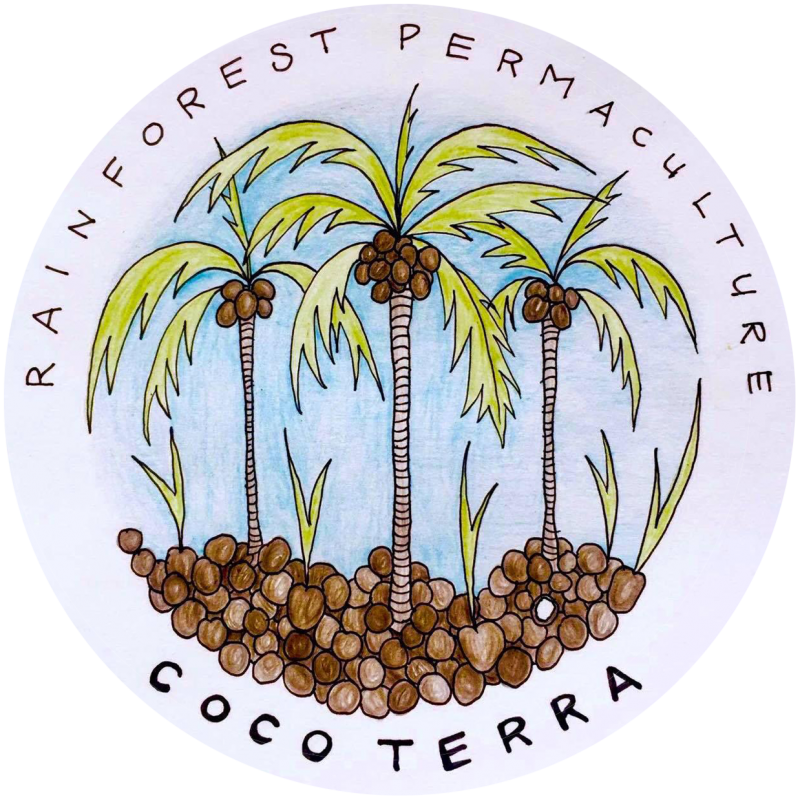 Rainforest Permaculture – Cocoterra